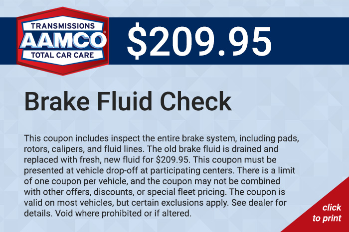 Brake Fluid Check